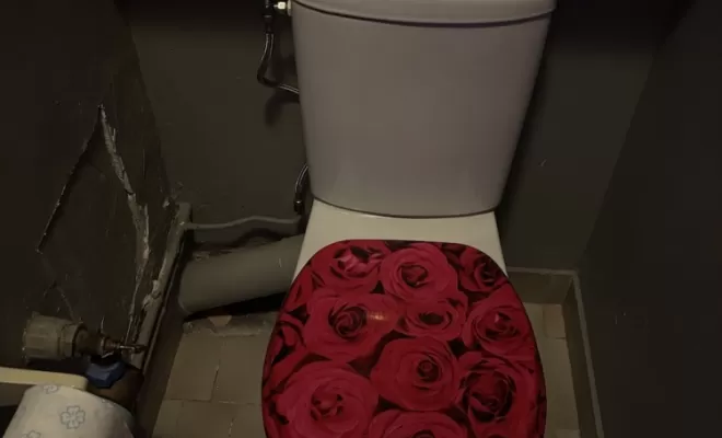 Repose du WC