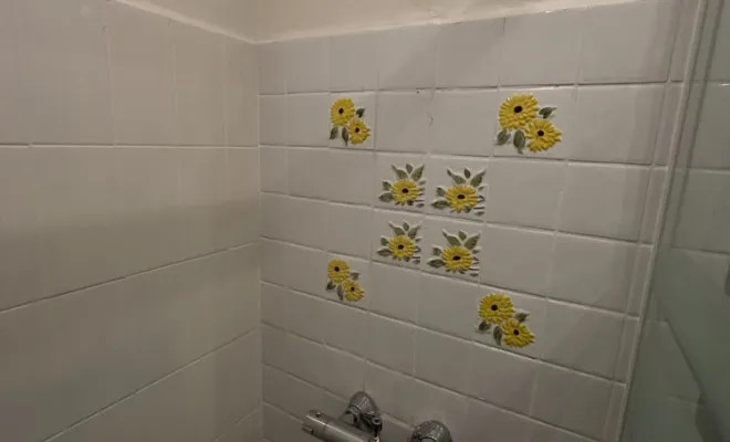 Plombier à Cannes la Bocca – Remplacement de colonne de douche, Cagnes-sur-Mer, Les Plombiers d'Azur