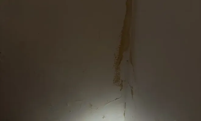 Attention aux infiltrations d'eau derrière votre douche, Cagnes-sur-Mer, Les Plombiers d'Azur